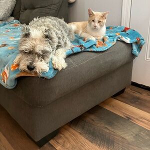 Custom bundle for @houseofbowievtg